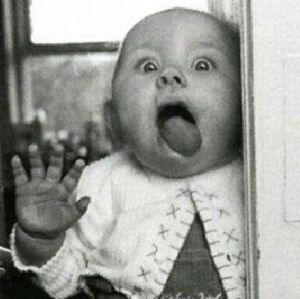 Meet your Posher, Janet